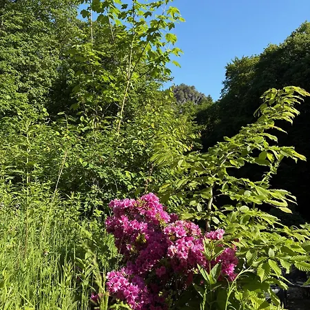 וילה Amselgrund *